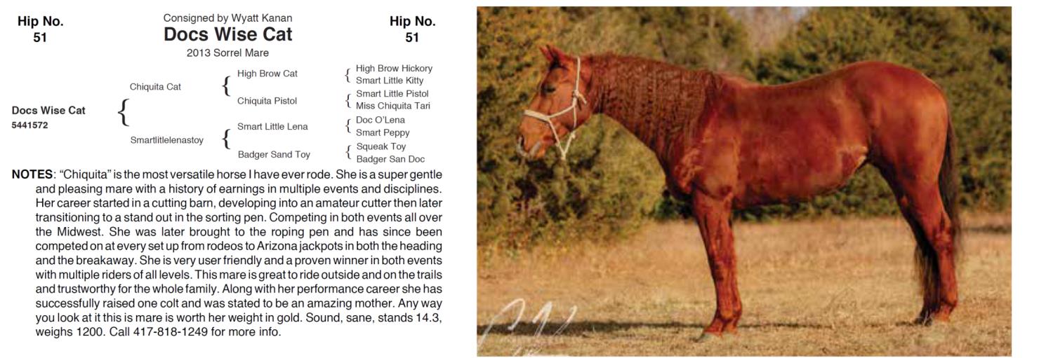 Lot 51 Hershberger Performance Horses 20th Annual Hershberger