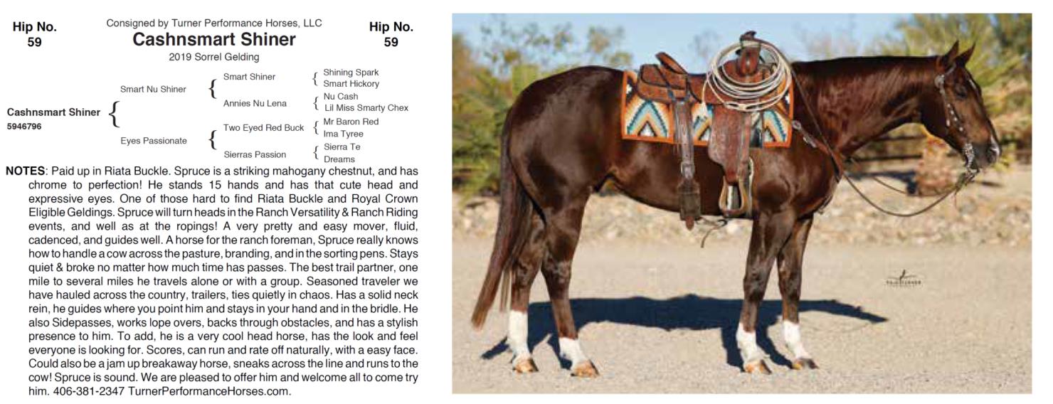 Lot 59 Hershberger Performance Horses 20th Annual Hershberger