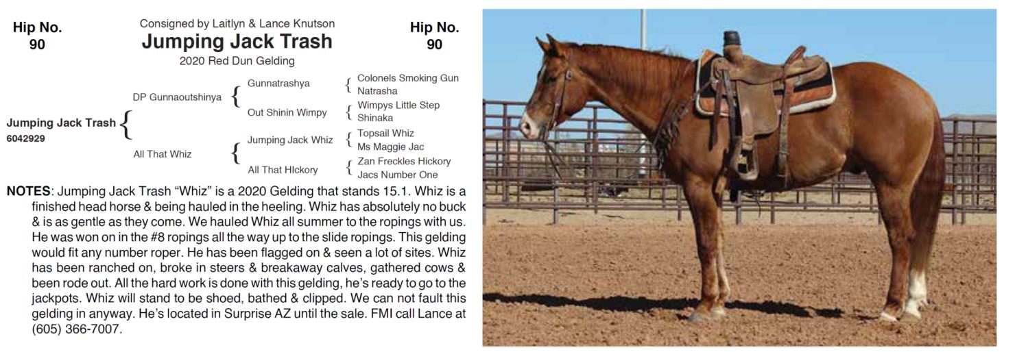 Lot 90 Hershberger Performance Horses 20th Annual Hershberger