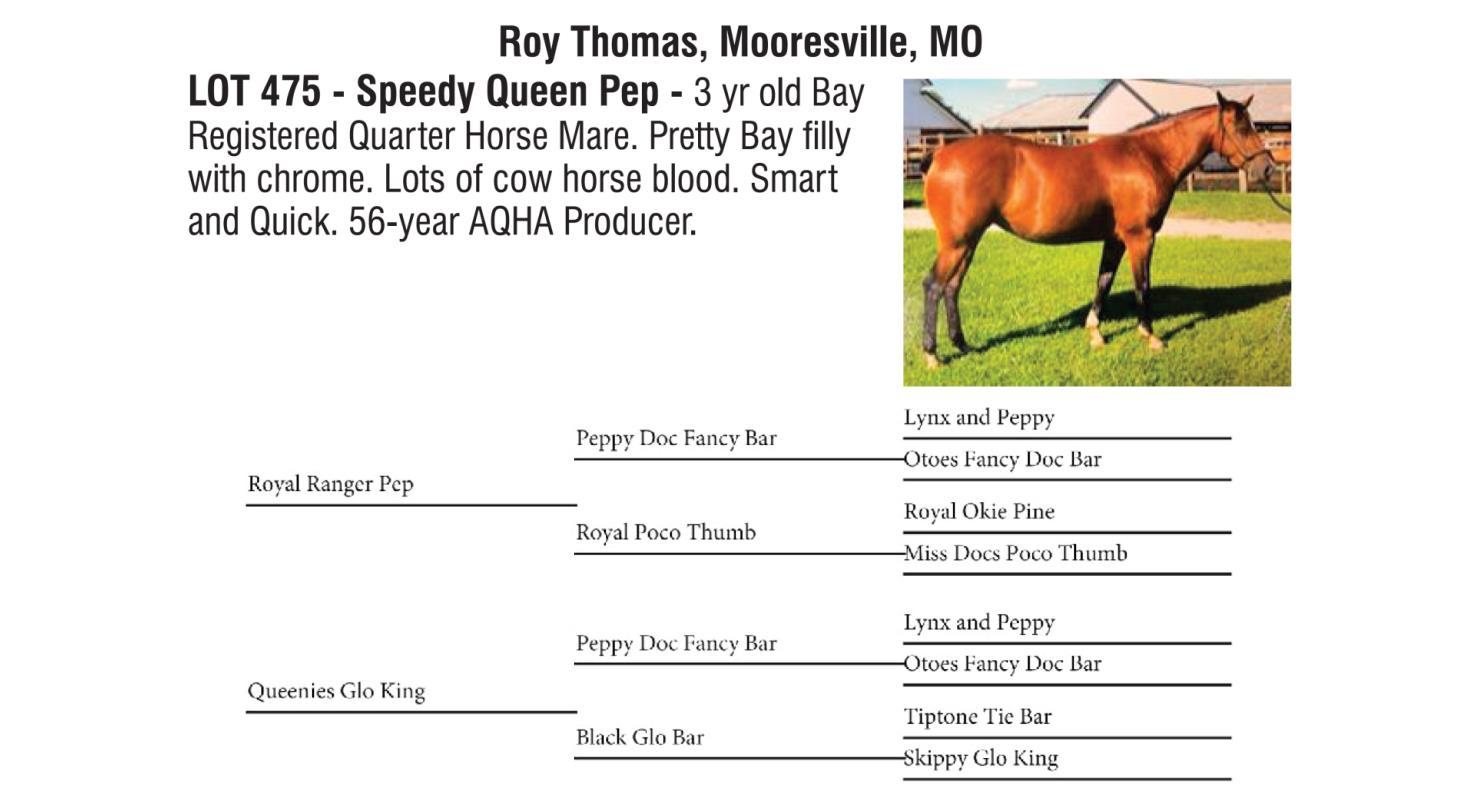 DVAuction Lot 475 Boone County Draft & Quarter Horse Sale Draft