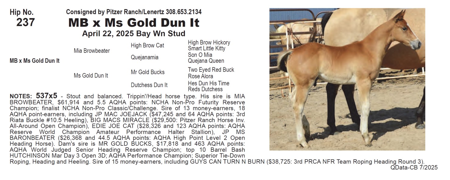 Lot 237 Pitzer Ranch Preview at 7am CT followed by Fall Sale at 9am