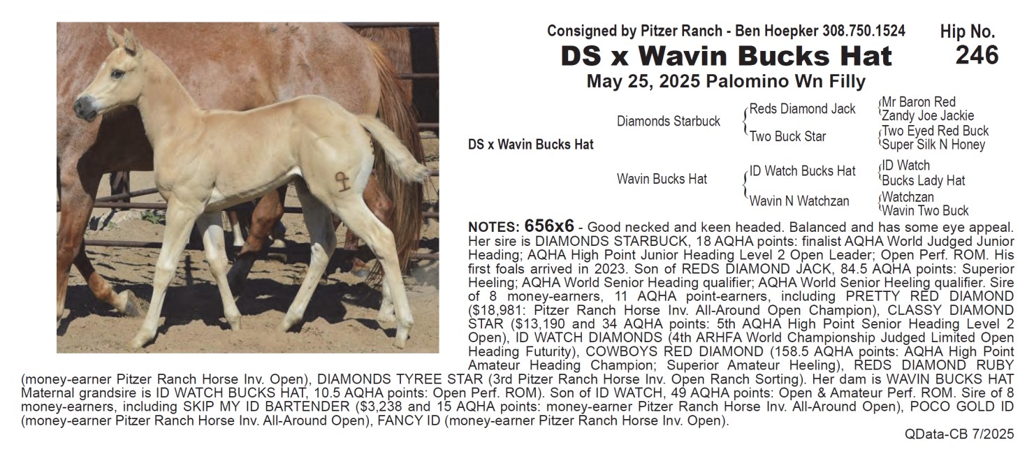 Lot 246: Pitzer Ranch - Preview at 7am CT followed by Fall Sale at 9am ...