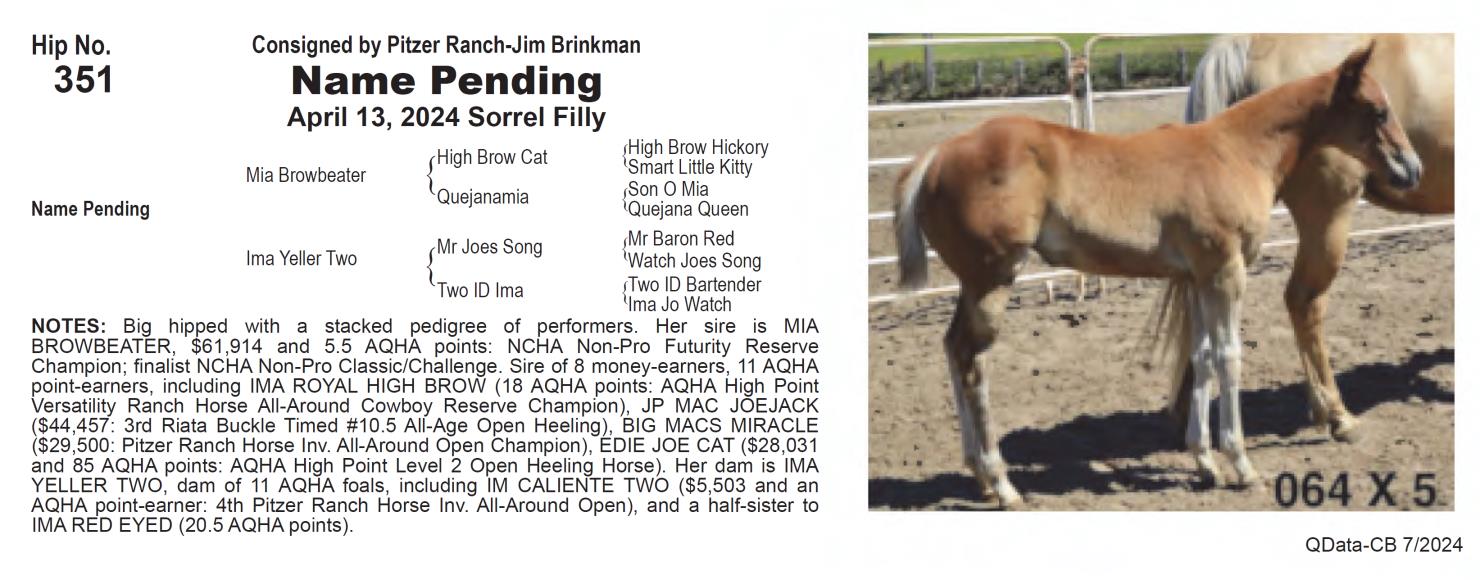 Lot 351: Pitzer Ranch - Preview at 7am CT followed by Fall Sale at 9am ...