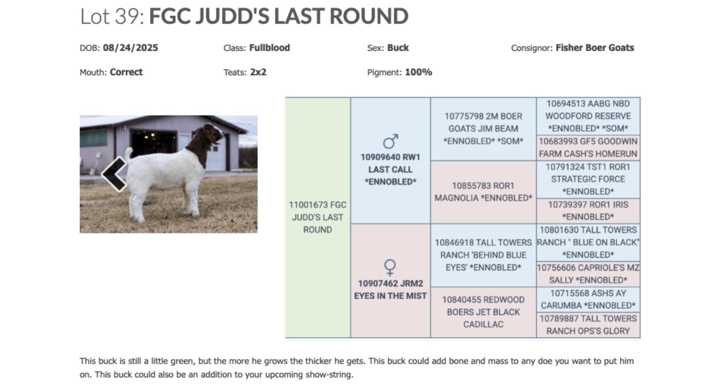 Lot 39: Indiana Boer Goat Association - IBGA Spring Spectacular Sale ...