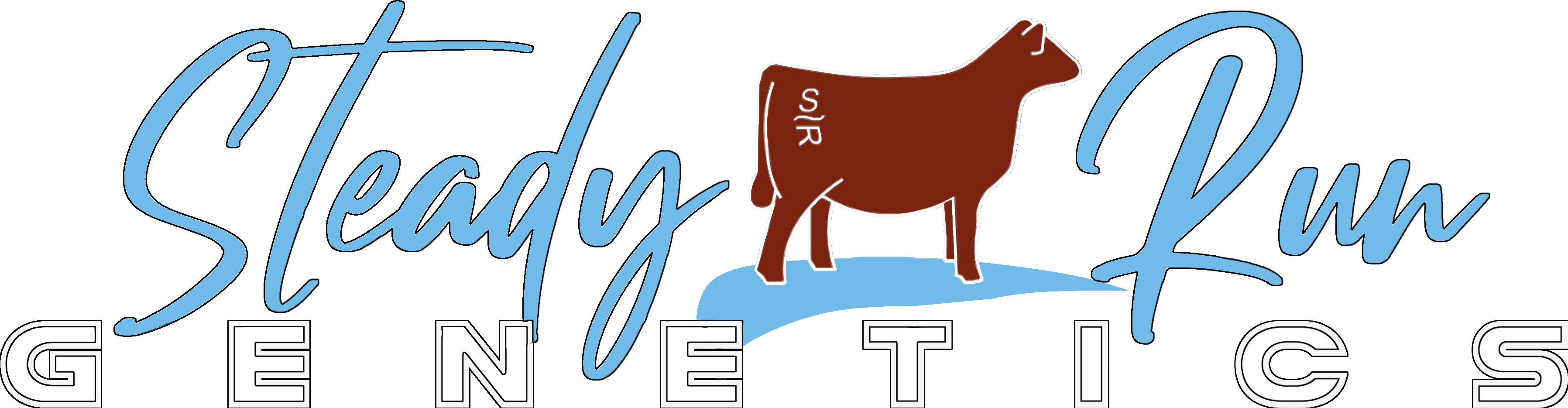 3 7 23 Steady Run Genetics The Steady Run Production Sale Steady