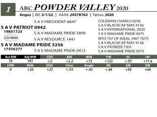 DVAuction | Lot 1: Allen Brothers Cattle - Annual Bull Sale