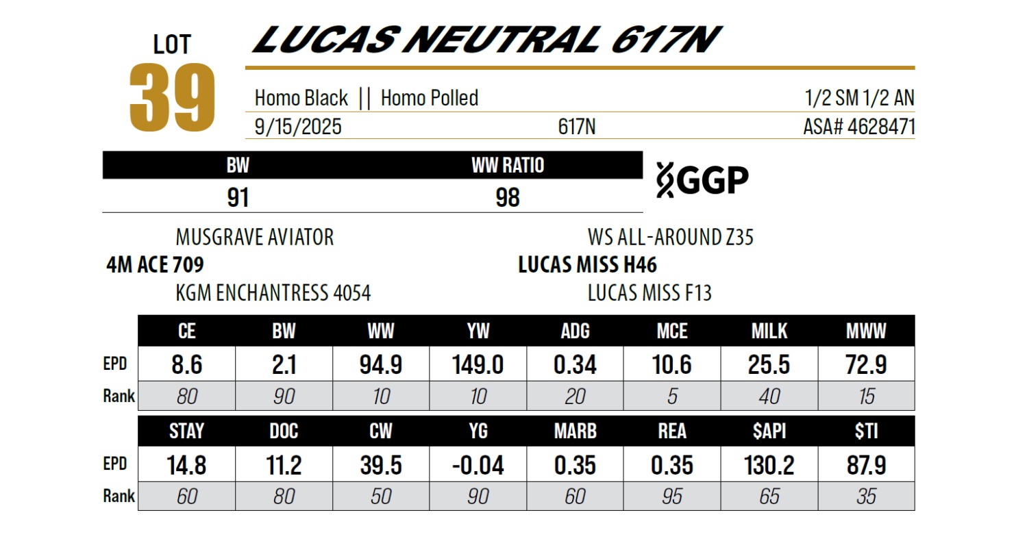 Lot 39: Lucas Cattle Company - Annual Fall Sale | DVAuction