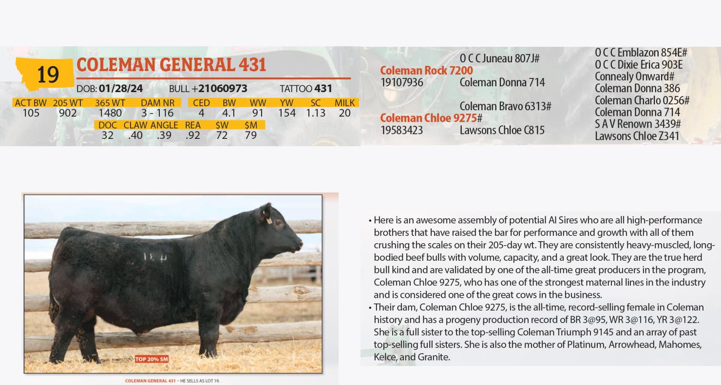Botts Angus Ranch Lot 19: Coleman Angus - Annual Bull Sale | DVAuction