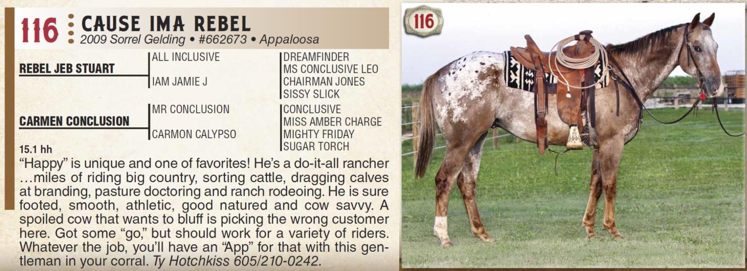 Lot 116 Jamison Herefords & Quarter Horses Jamison Quarter Horse