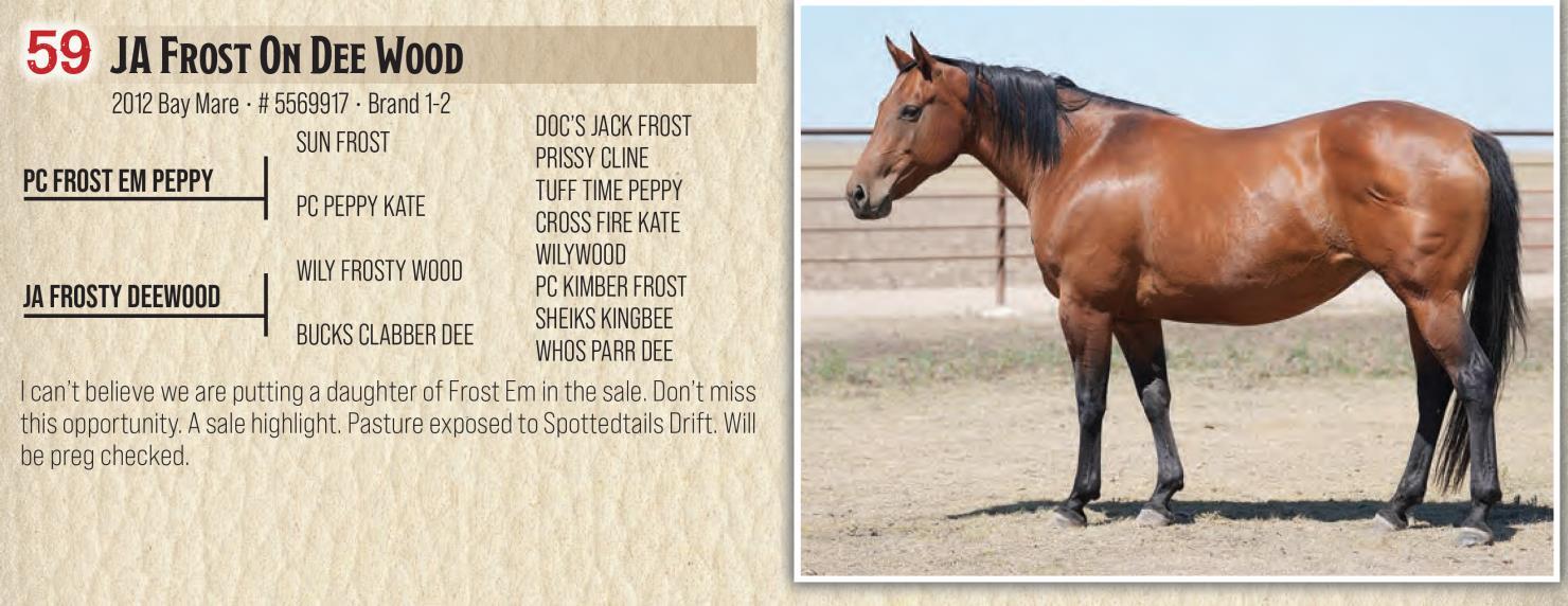 DVAuction Lot 59 Jamison Herefords & Quarter Horses Annual