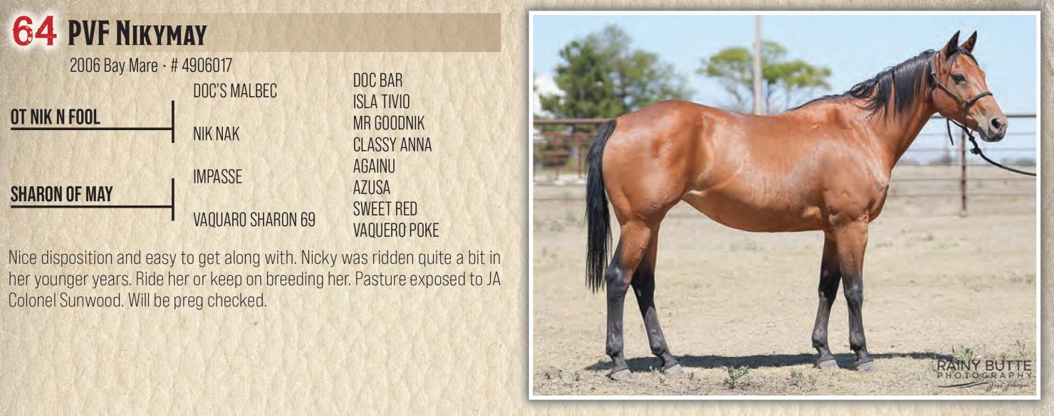 DVAuction Lot 64 Jamison Herefords & Quarter Horses Annual