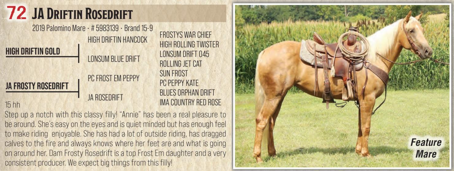 DVAuction Lot 72 Jamison Herefords & Quarter Horses Annual