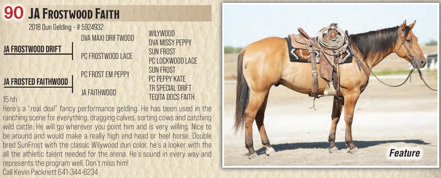 DVAuction Lot 90 Jamison Herefords & Quarter Horses Annual