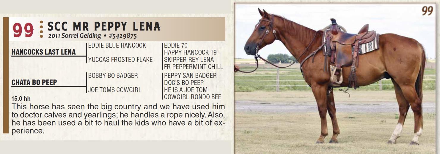 Lot 99 Jamison Herefords & Quarter Horses Annual Quarter Horse Sale