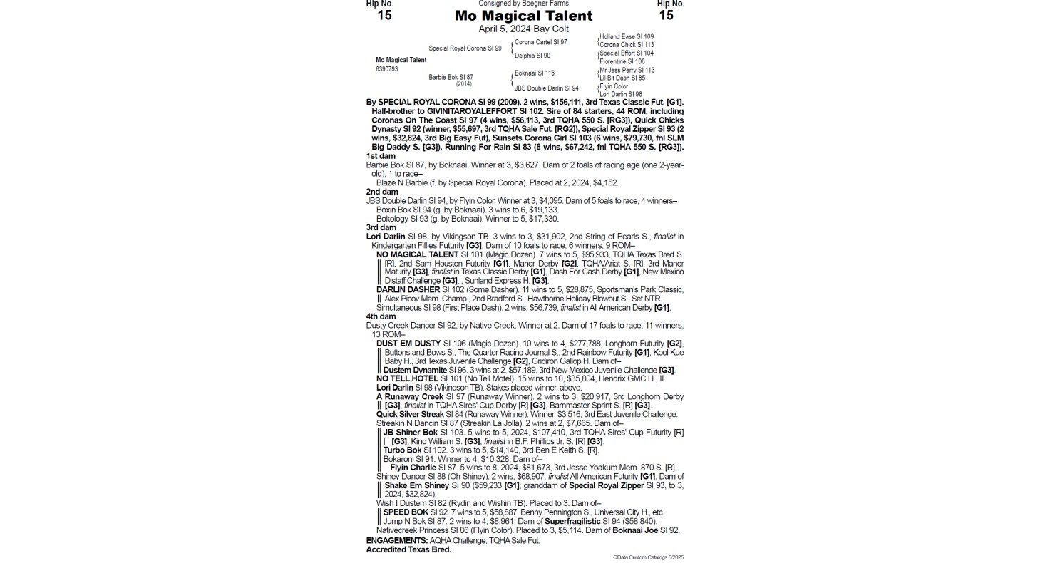 Lot 15 Texas Quarter Horse Association TQHA Annual Yearling Sale