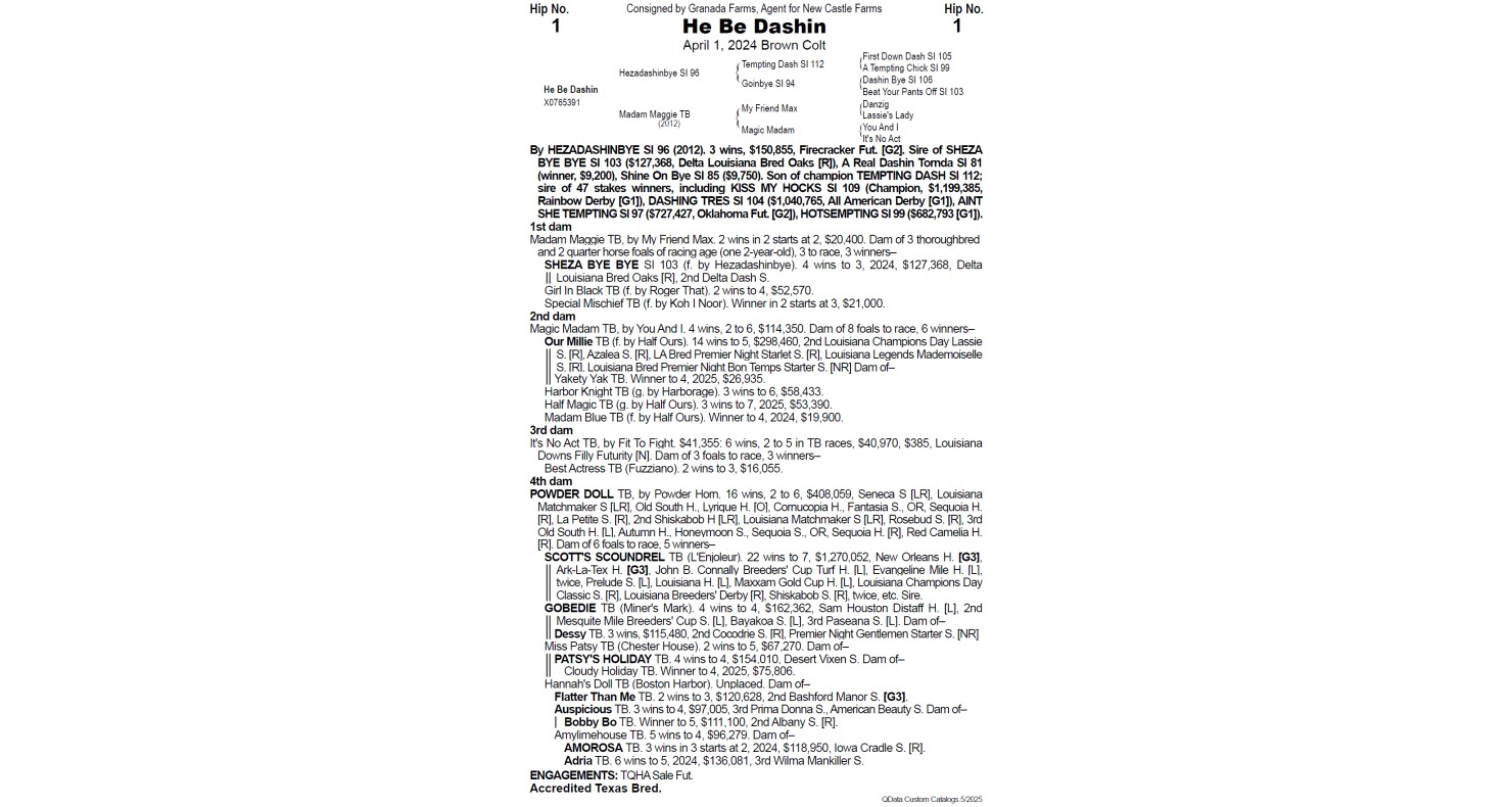 Lot 1 Texas Quarter Horse Association TQHA Annual Yearling Sale