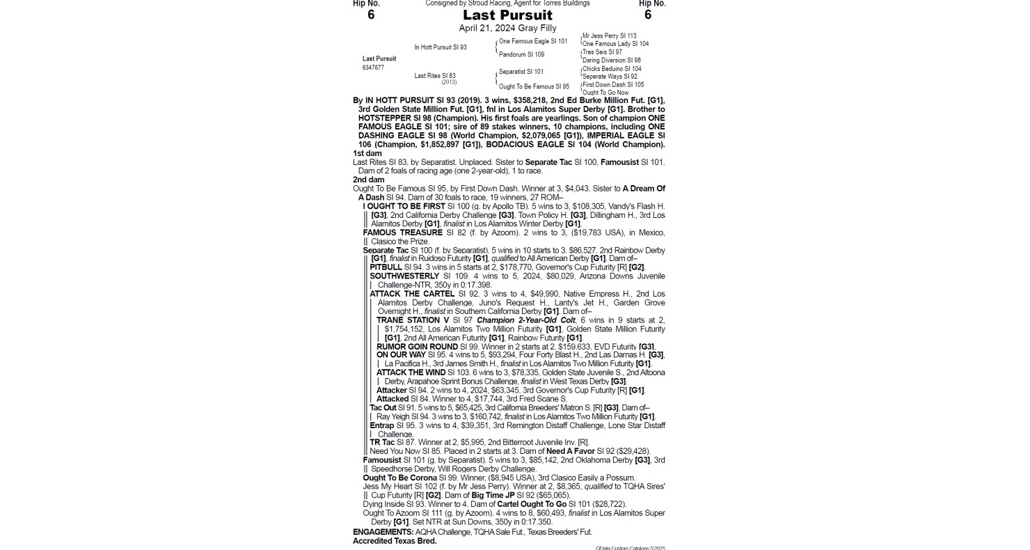 Lot 6 Texas Quarter Horse Association TQHA Annual Yearling Sale