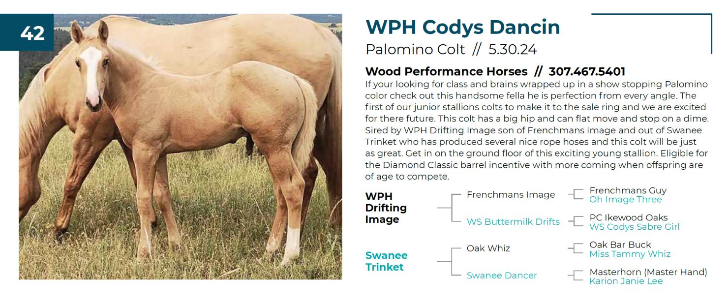 Lot 42 Fall Extravaganza Horse Sale DVAuction