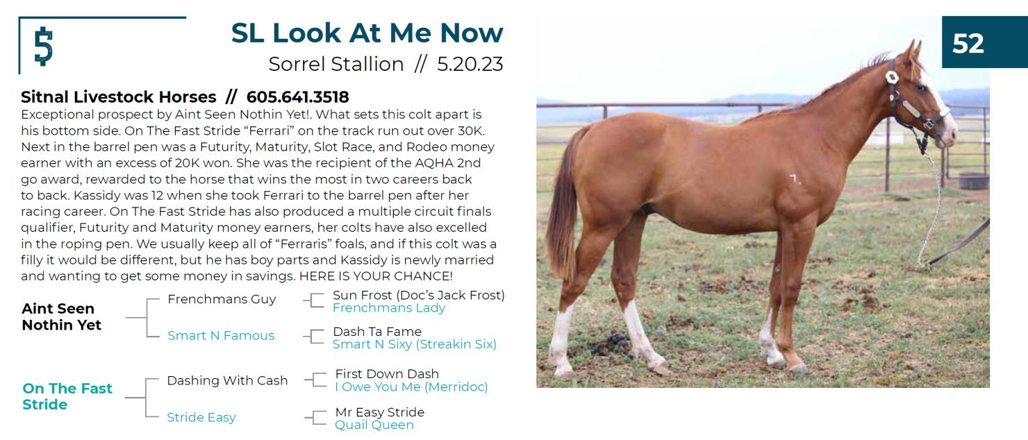 Lot 52 Fall Extravaganza Horse Sale DVAuction
