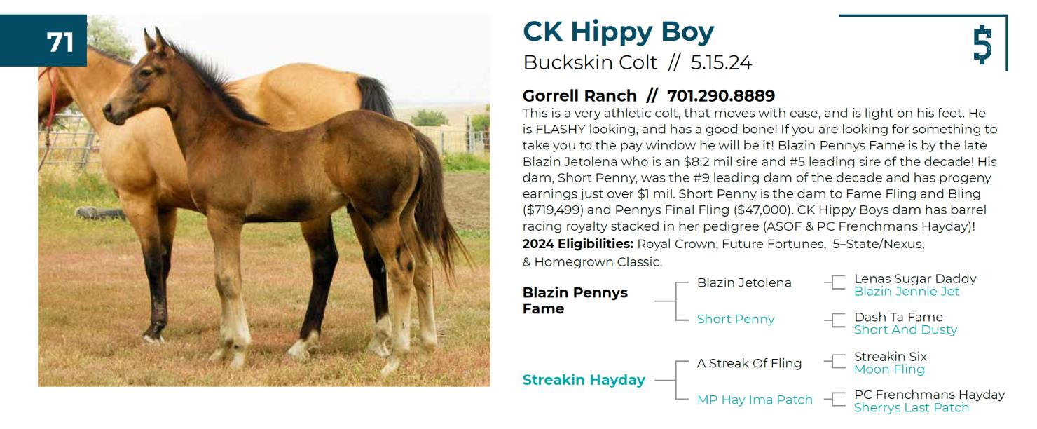 Lot 71 Fall Extravaganza Horse Sale DVAuction