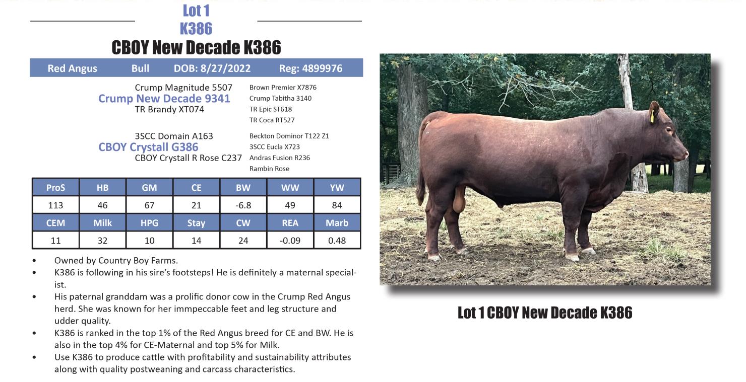 Lot 1 CBOY NEW DECADE K386 Palmetto Cattlemen's Showcase Online Auction Palmetto