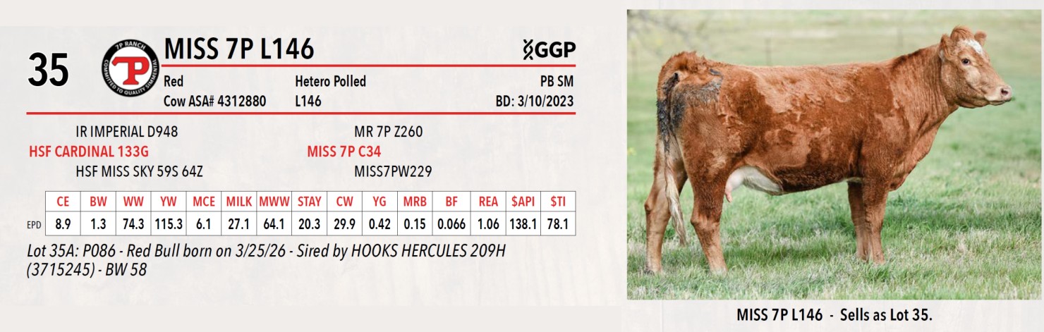 Lot 35: 7P Ranch - Dispersal | DVAuction