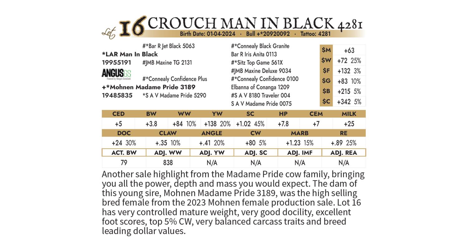 Lot 16: Powers Angus Ranch - Inaugural Sale | DVAuction