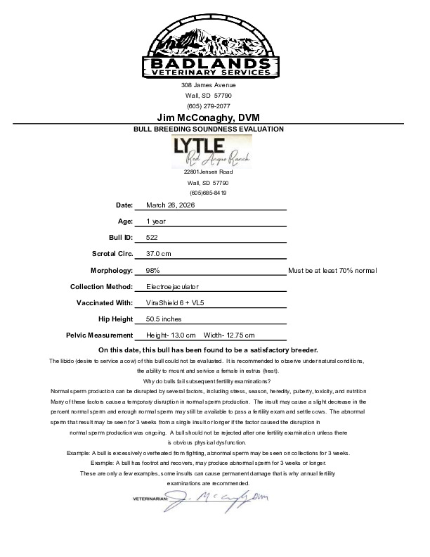 Lot N522 - LYTLE LANCER N522: Lytle Red Angus - Best Last Chance Red ...