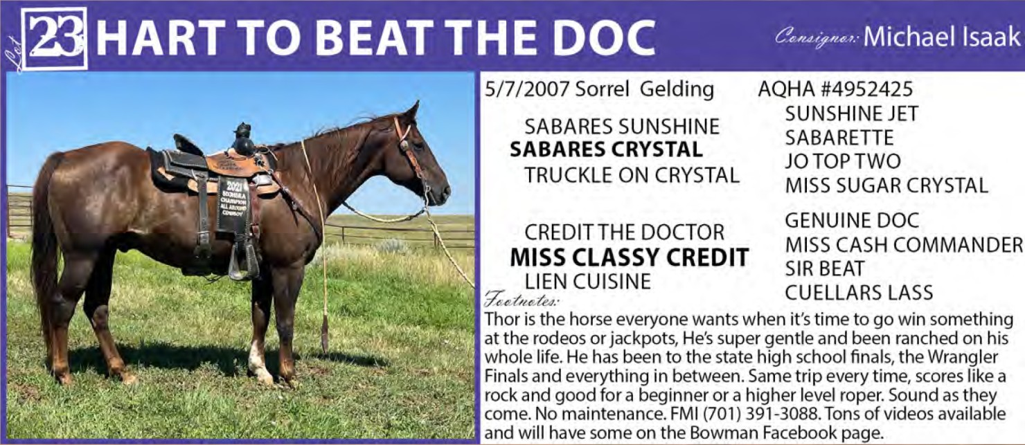 Lot 23 Bowman Livestock Marketing Catalog Horse Sale Preview at 9 am