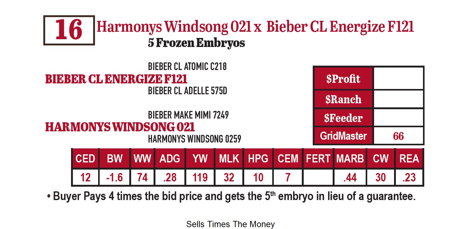 Lot 16 - Harmonys Windsong 021 x Bieber CL Energize F121 (RSF) - 5 ...