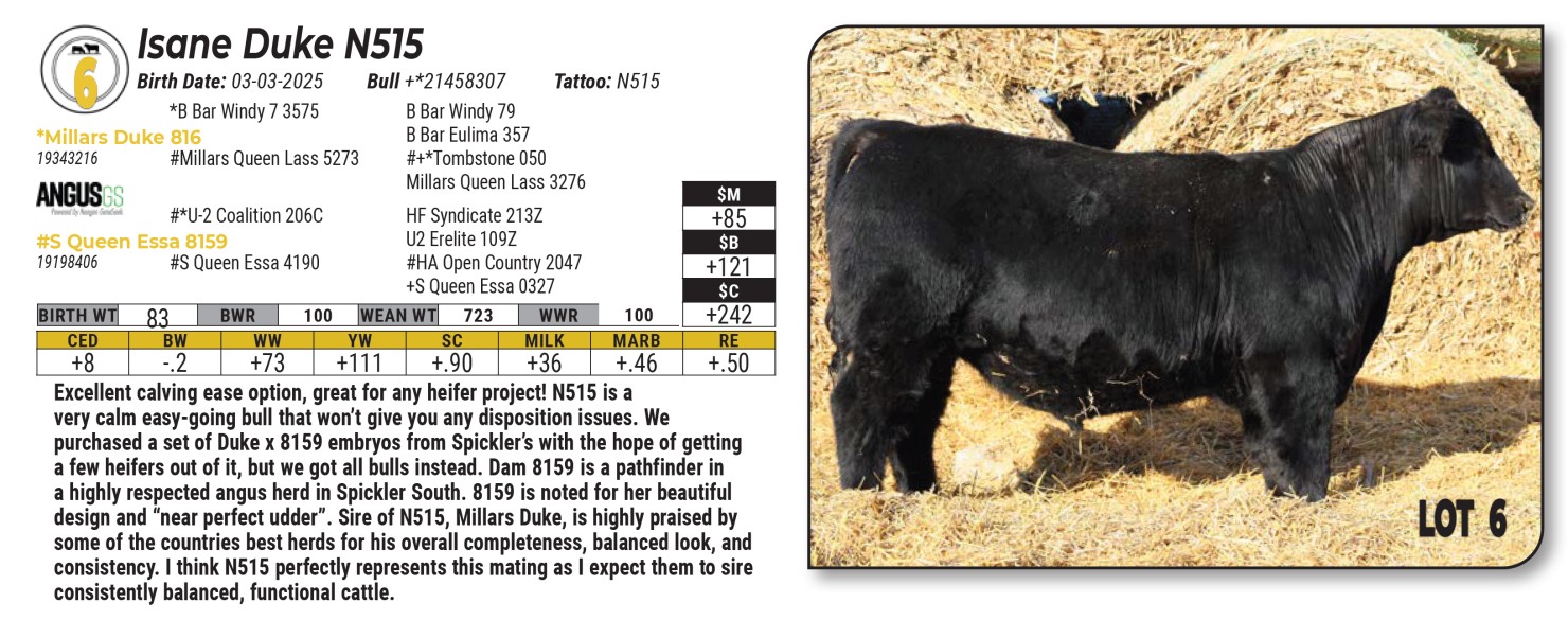 Lot 6 - Isane Duke N515: Isane Farms Inc. - Angus & Sim-Angus Online ...