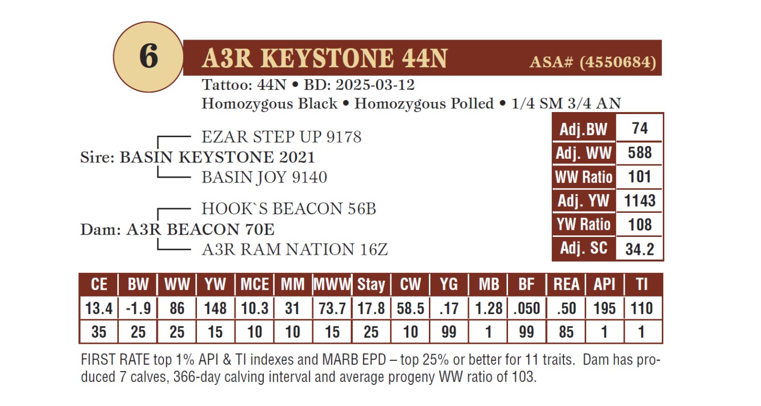 Lot 6 - A3R KEYSTONE 44N: Plus Bar & A3 Ranch - 11th Annual Bull Sale ...
