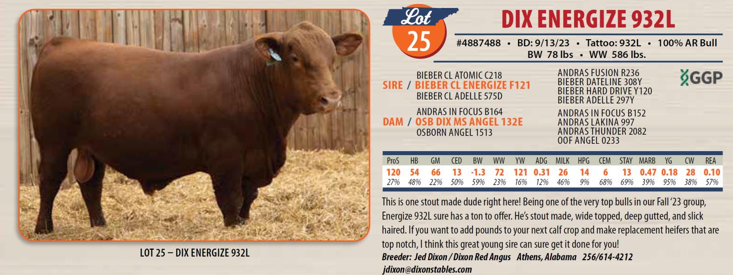 Lot 25: Southeast Red Angus Association - SE Red Angus Autumn ...