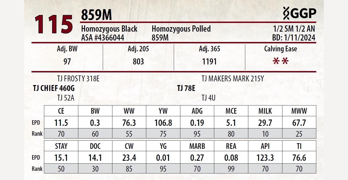 Lot 115: Triangle J Ranch and Altenburg Super Baldy Ranch - Colorado ...