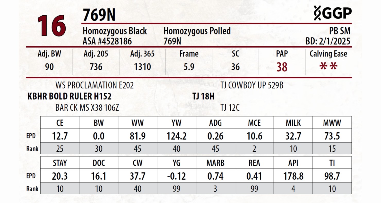 Lot 16: Triangle J Ranch and Altenburg Super Baldy Ranch - High ...