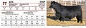 Lot 77: Triangle J Ranch and Altenburg Super Baldy Ranch - High ...