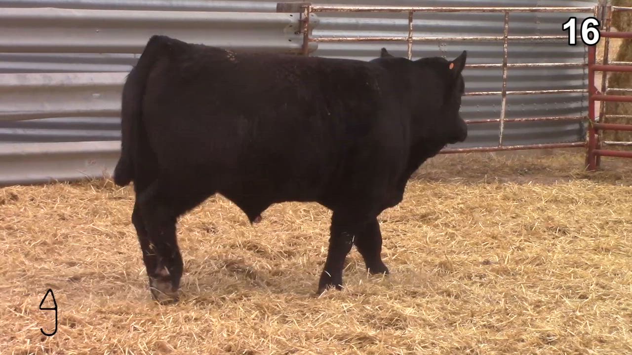 Lot 16: Triangle J Ranch and Altenburg Super Baldy Ranch - High ...