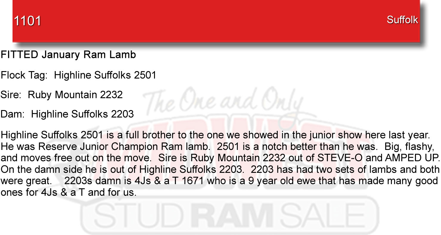 Lot 1101 Midwest Stud Ram Sale Sales Katahdin, National Hampshire