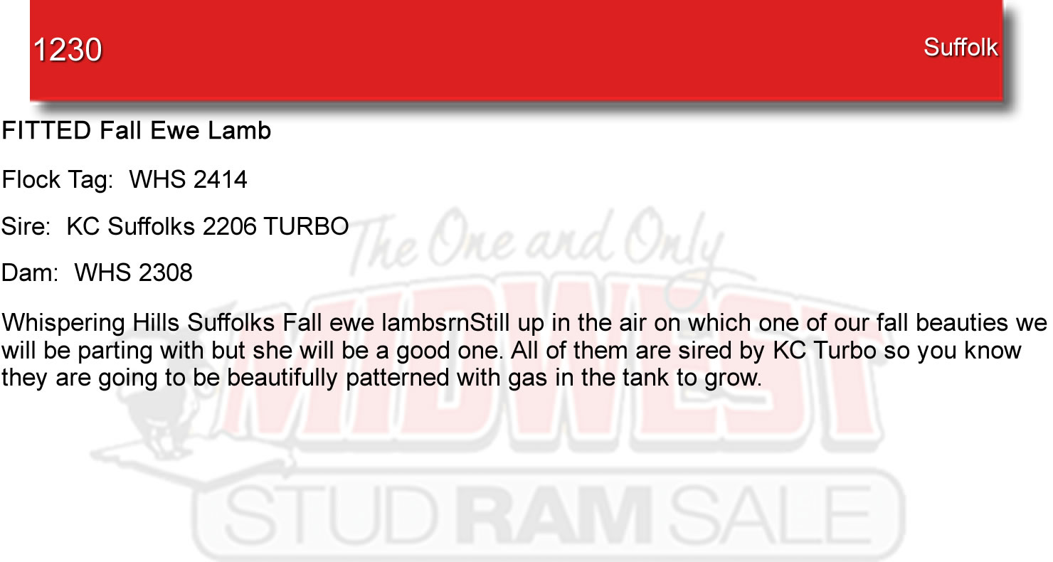 Lot 1230 Midwest Stud Ram Sale Sales Katahdin, National Hampshire