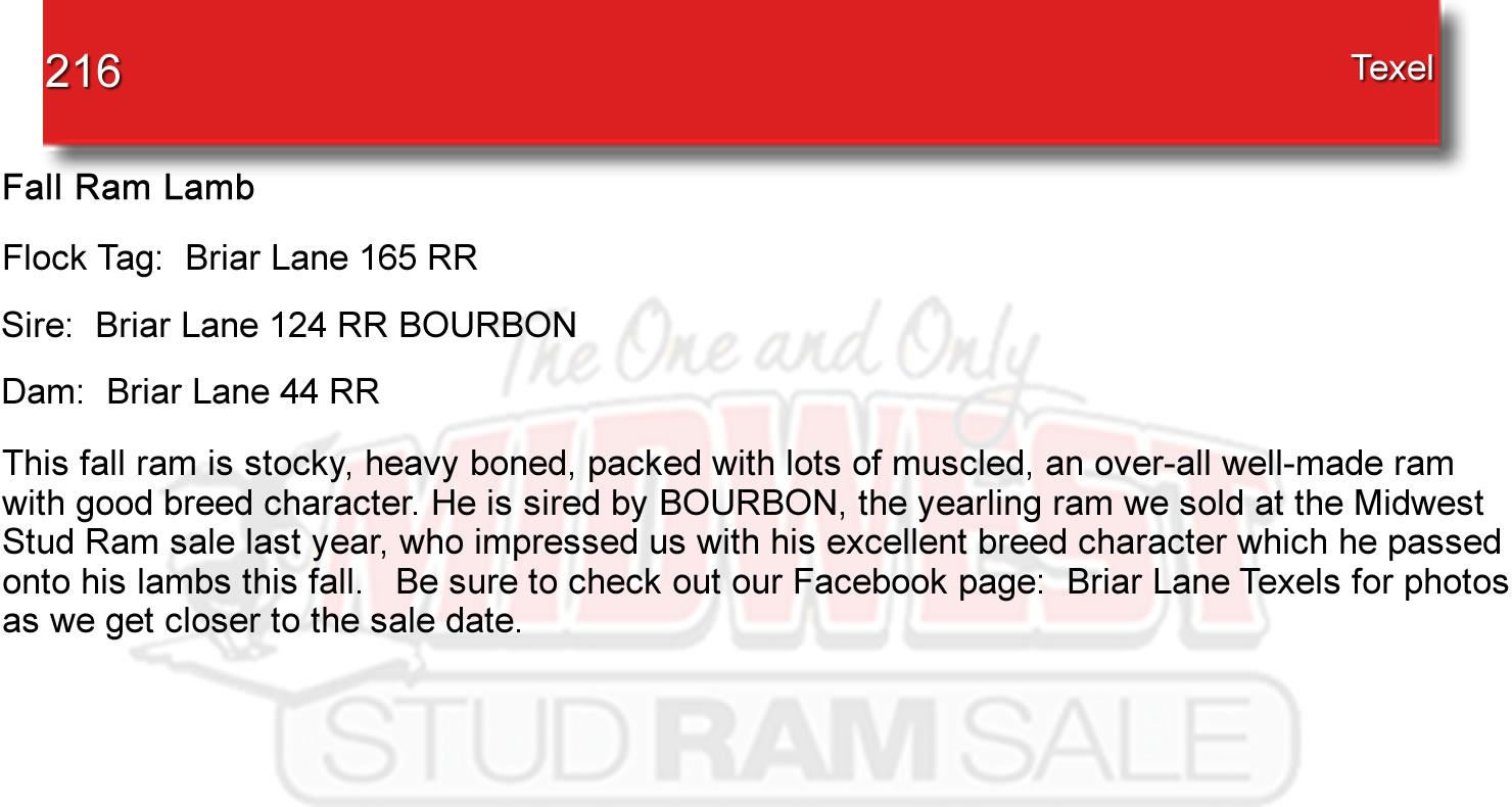 Lot 216 Midwest Stud Ram Sale Sales Katahdin, National Hampshire