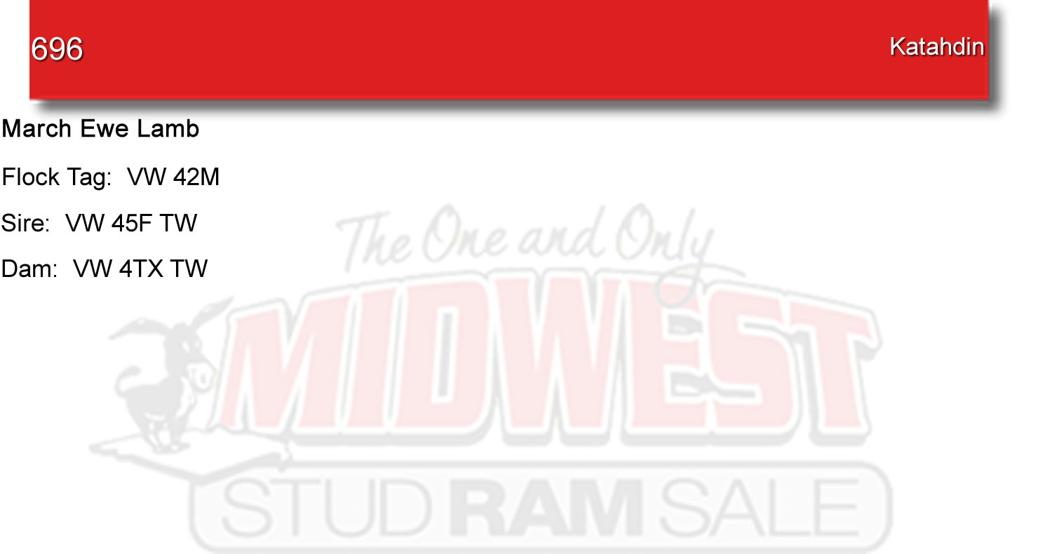 Lot 696 Midwest Stud Ram Sale Sales Katahdin, National Hampshire