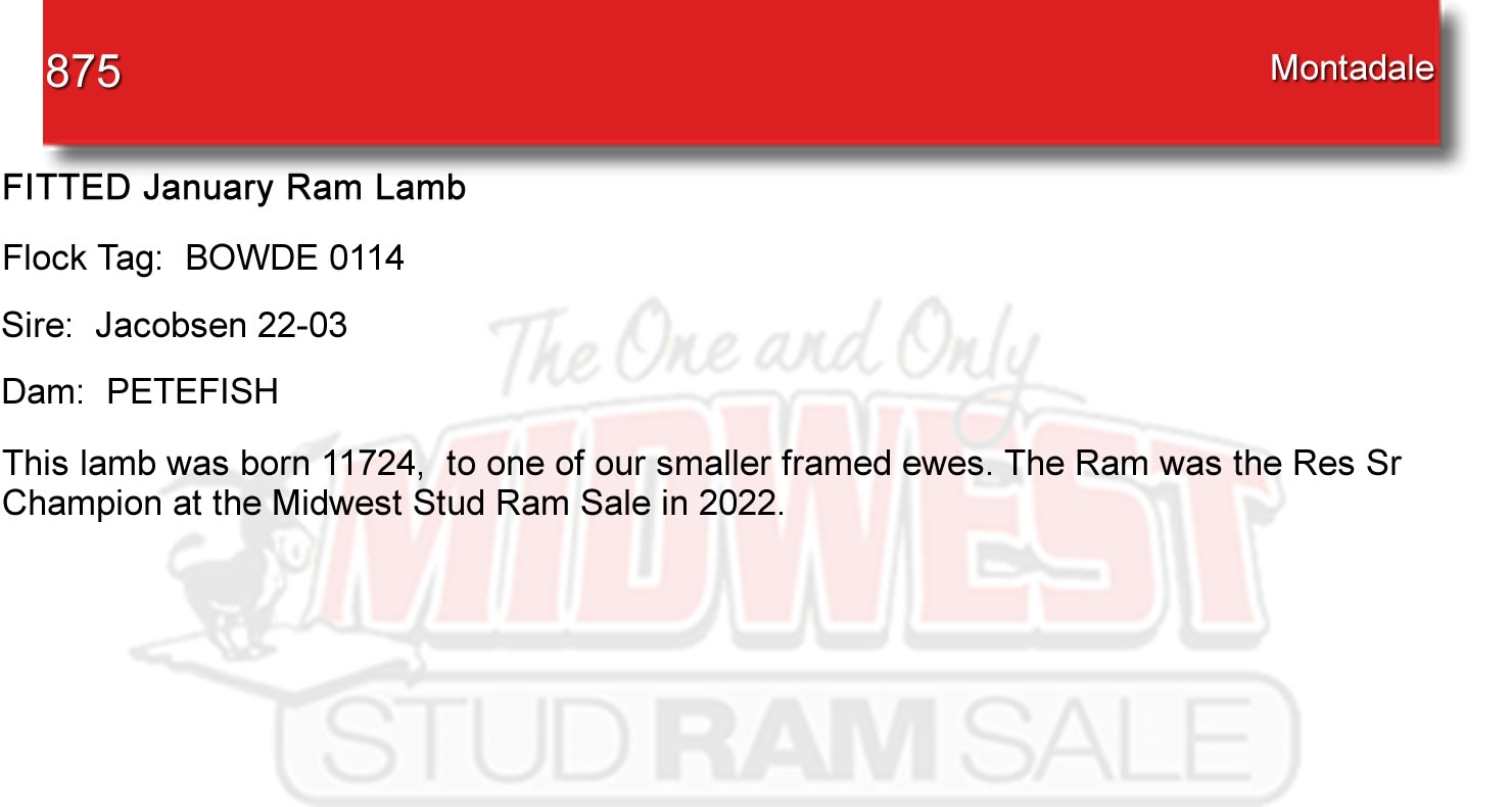 Lot 875 Midwest Stud Ram Sale Sales Katahdin, National Hampshire