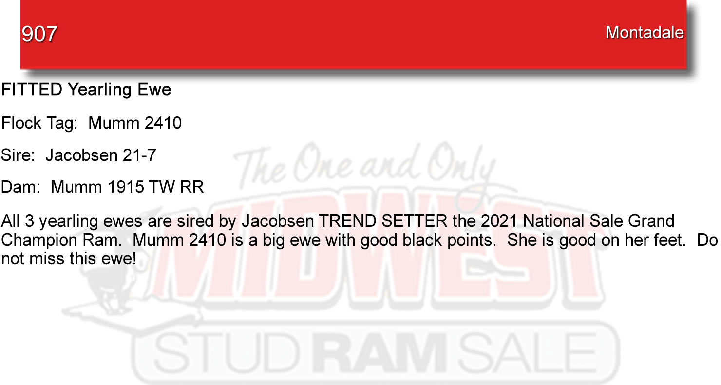 Lot 907 Midwest Stud Ram Sale Sales Katahdin, National Hampshire