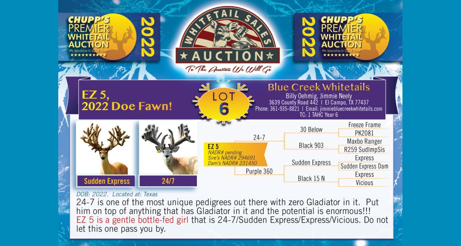 DVAuction Lot 6 Chupp Premier Whitetail Deer Auction Fall Deer