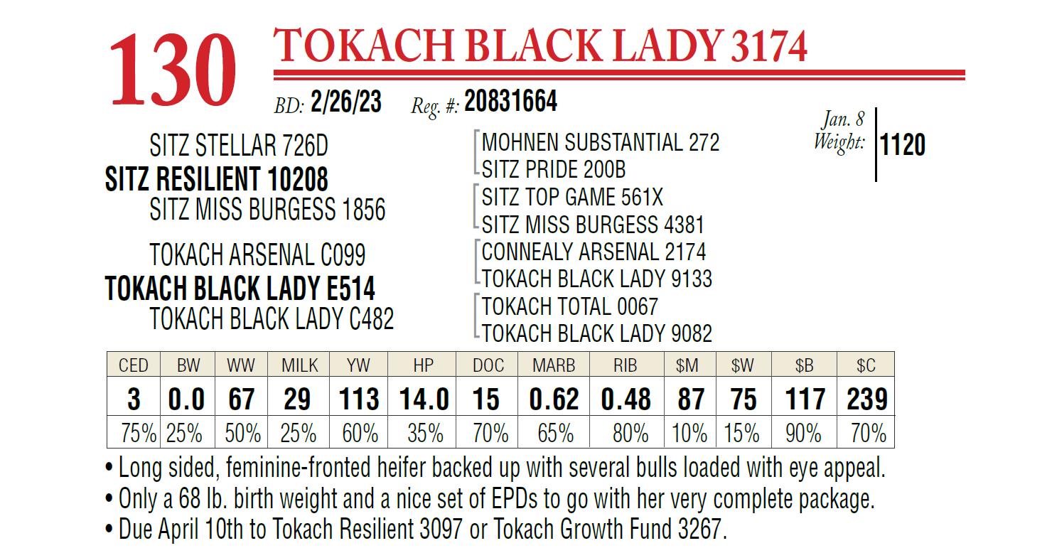 Lot 130 Tokach Angus Ranch 50th Annual Angus Bull & Female Sale