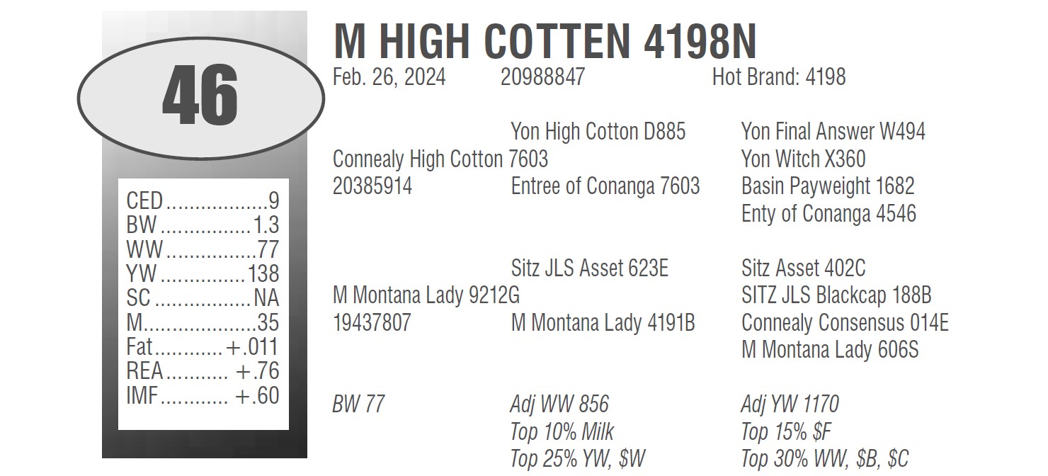 Lot 46: Messner Ranch - 65th Annual Production Sale | DVAuction