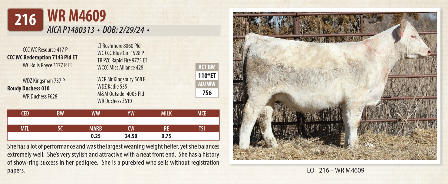 Lot 216: Wagonhammer Ranches - 50th Annual Total Performance Angus ...