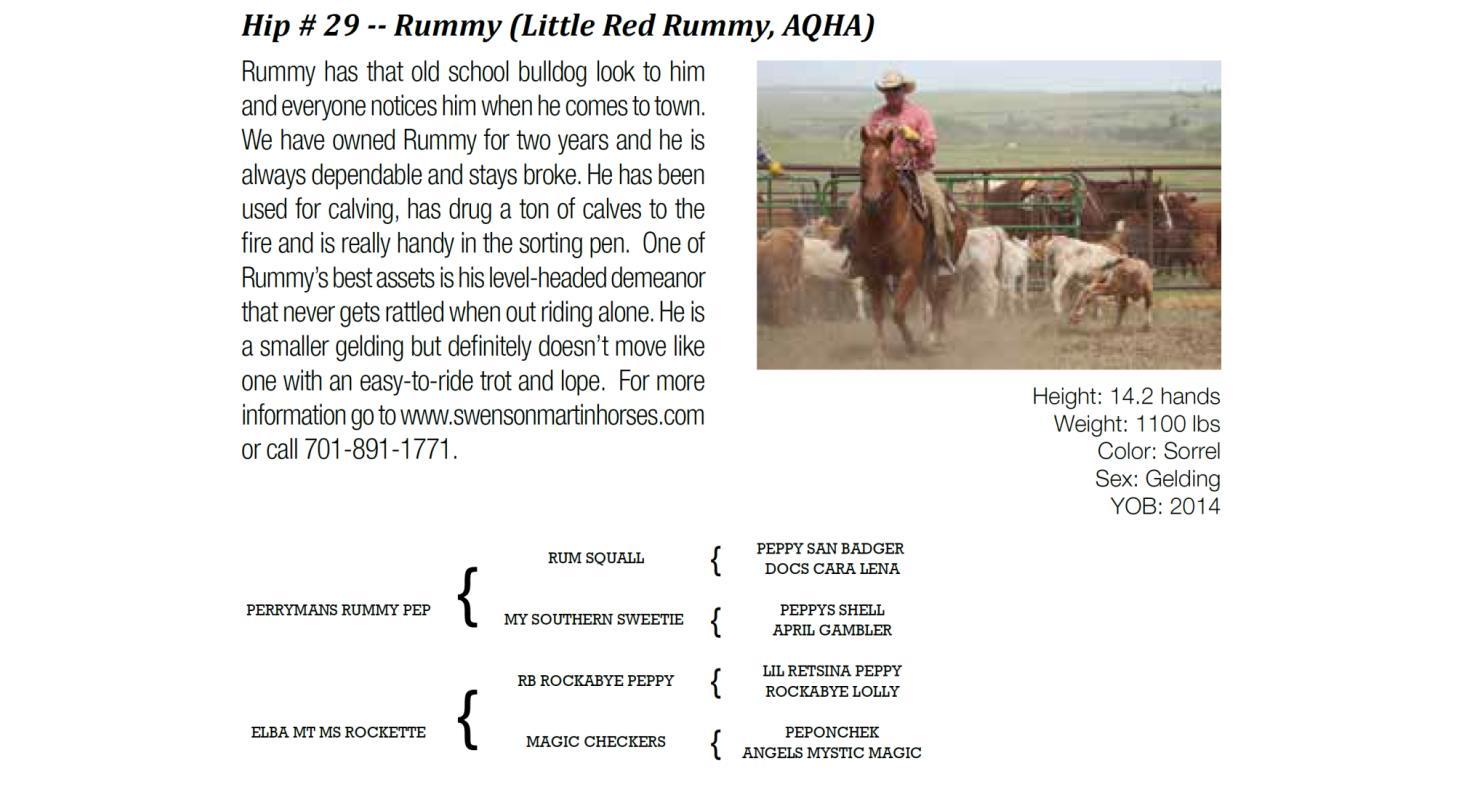 DVAuction Lot 29 DiamondMcNabb Ranch Horses Spring Horse Sale