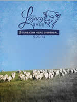 Catalog 6141b156b977f38535a2907b2934b342