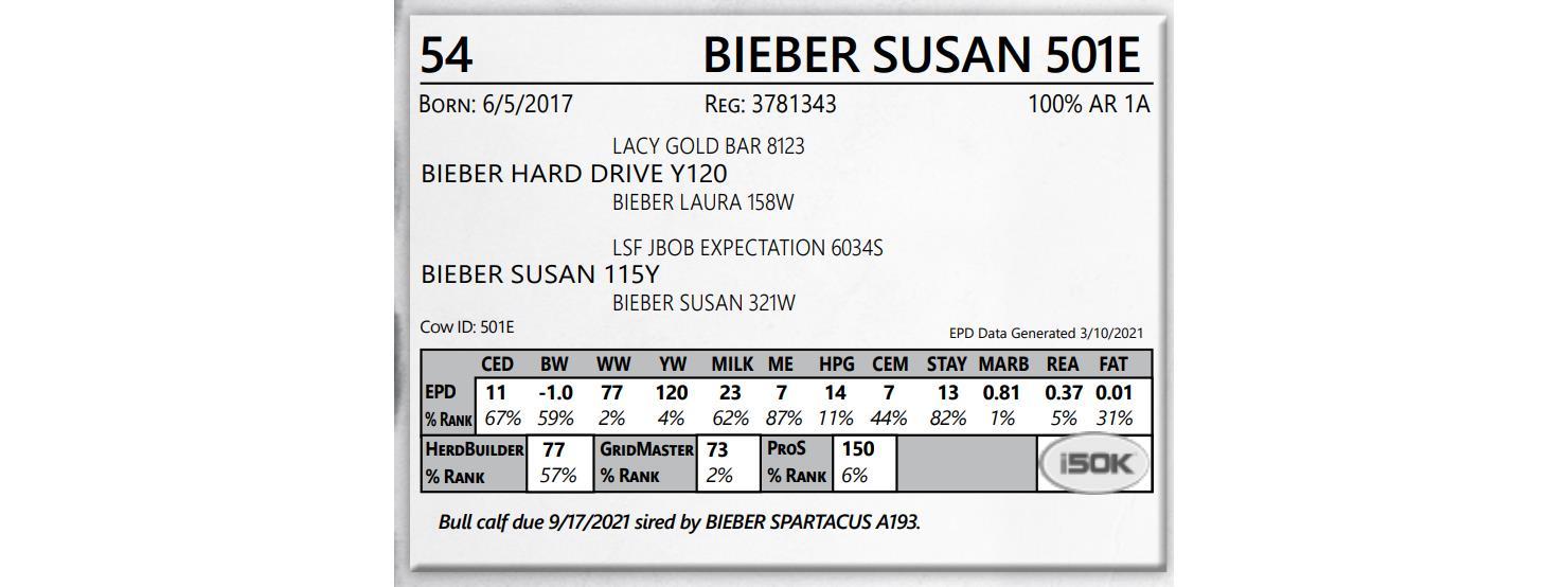 Lot 54 BIEBER SUSAN 501E Bieber Fever Online Female Sale (Lots 170